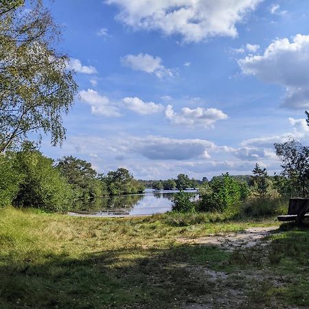 Sfeervol Chaletje In Een Rustige Bosrijke Omgeving Diessen Экстерьер фото