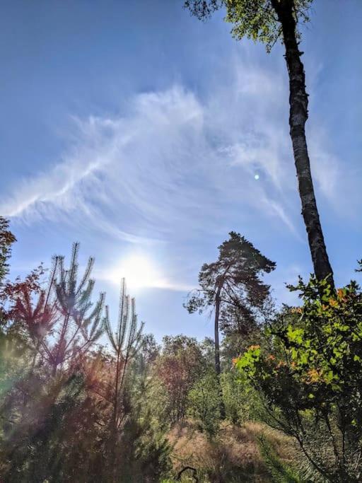 Sfeervol Chaletje In Een Rustige Bosrijke Omgeving Diessen Экстерьер фото