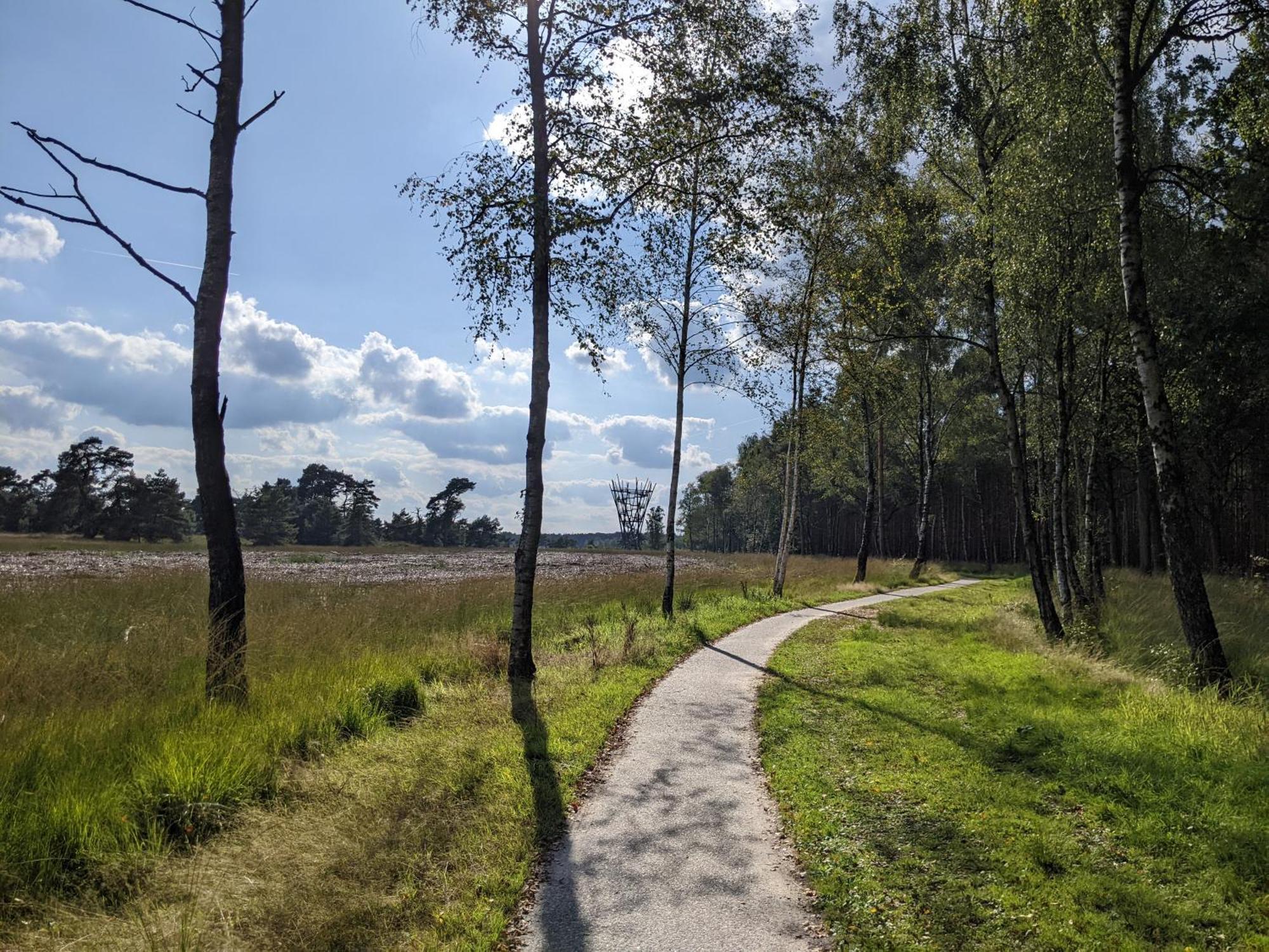 Sfeervol Chaletje In Een Rustige Bosrijke Omgeving Diessen Экстерьер фото